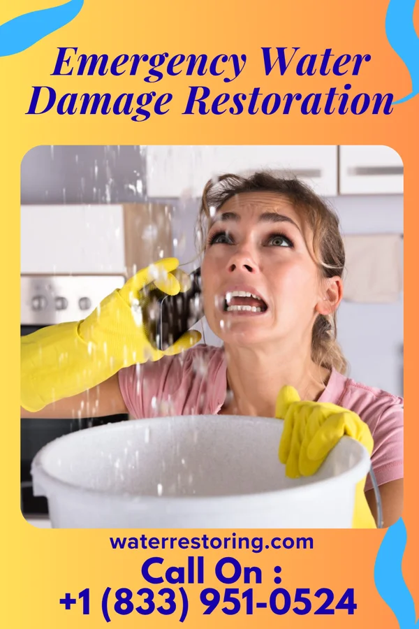 Emergency Water Damage Restoration in Zelienople, PA