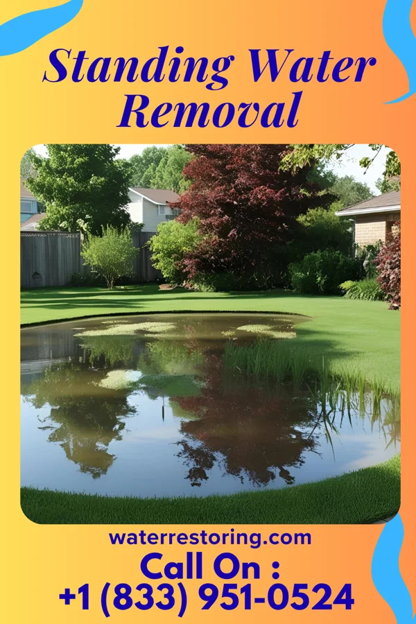 Standing Water Removal in Zelienople, PA